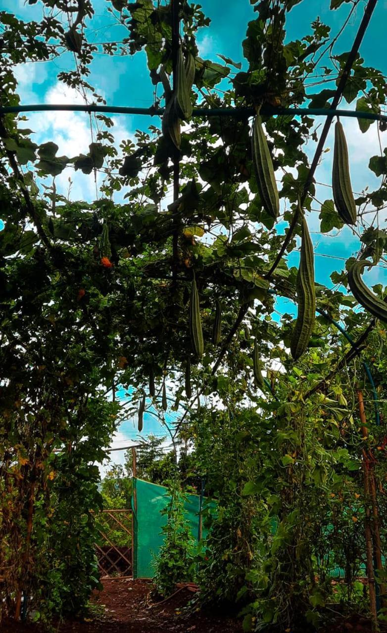 Chalobahills Farmstay Resort Ajra Buitenkant foto