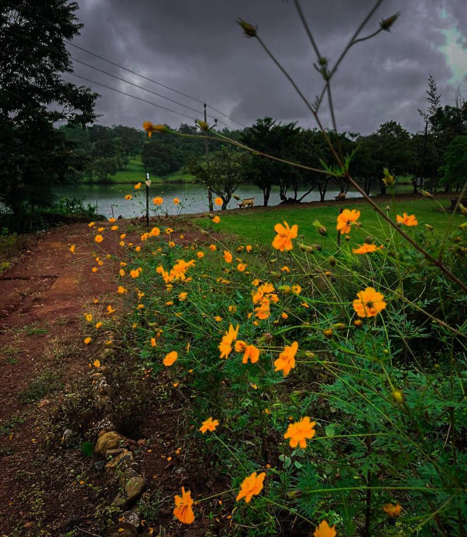 Chalobahills Farmstay Resort Ajra Buitenkant foto